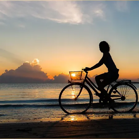 Muehlenkamp Nordwind *