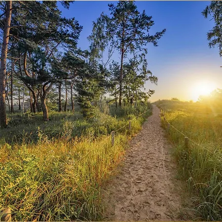 Muehlenkamp Nordwind *